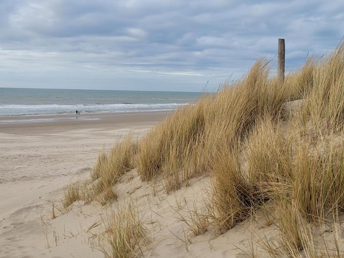 Tiny Villa De Haas Met Infraroodsauna Egmond aan Zee Dış mekan fotoğraf