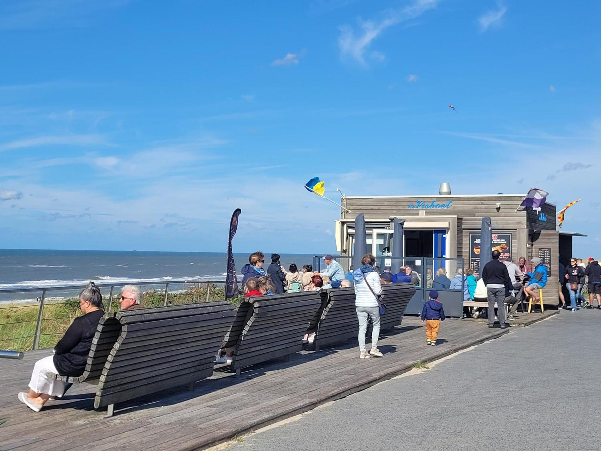 Tiny Villa De Haas Met Infraroodsauna Egmond aan Zee Dış mekan fotoğraf