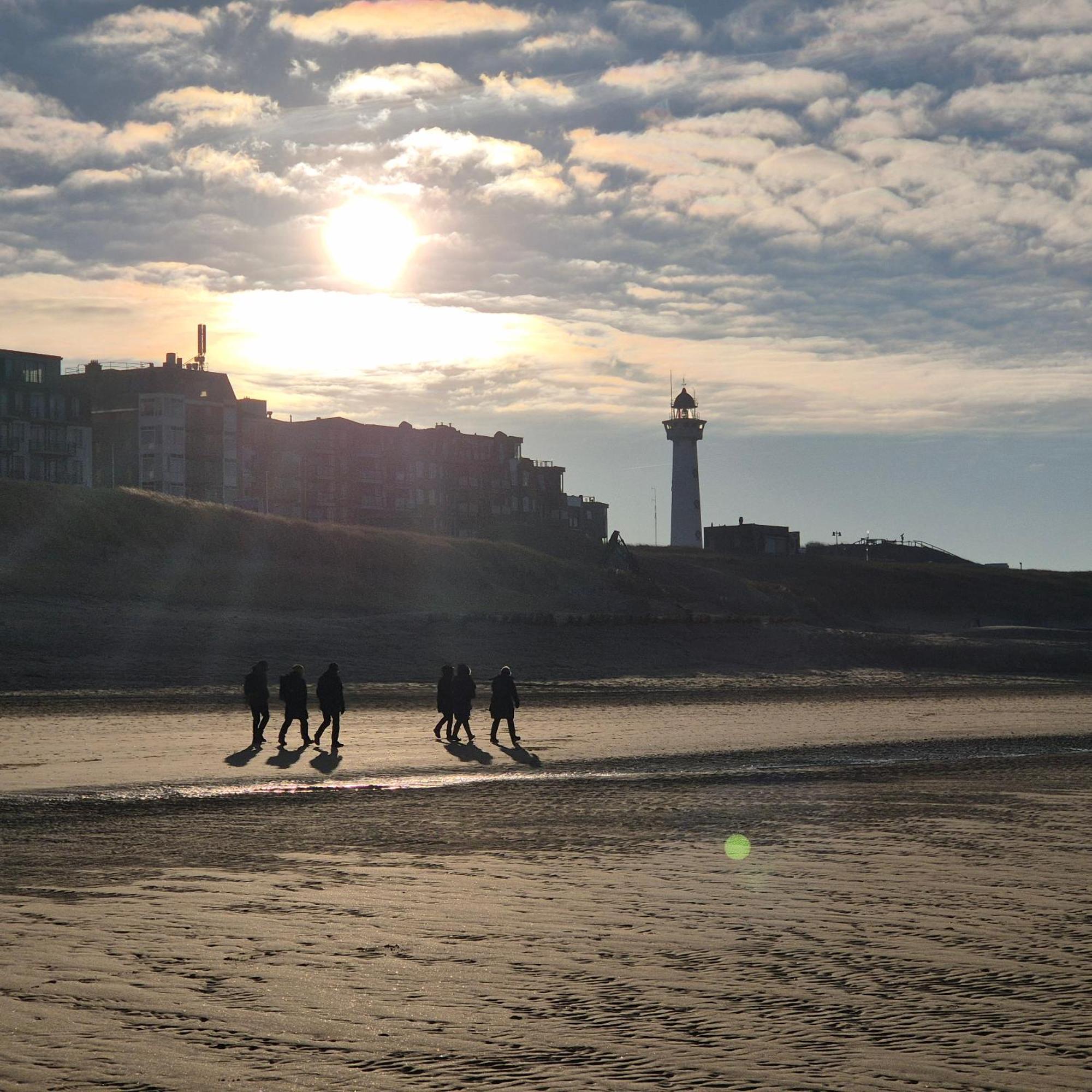 Tiny Villa De Haas Met Infraroodsauna Egmond aan Zee Dış mekan fotoğraf