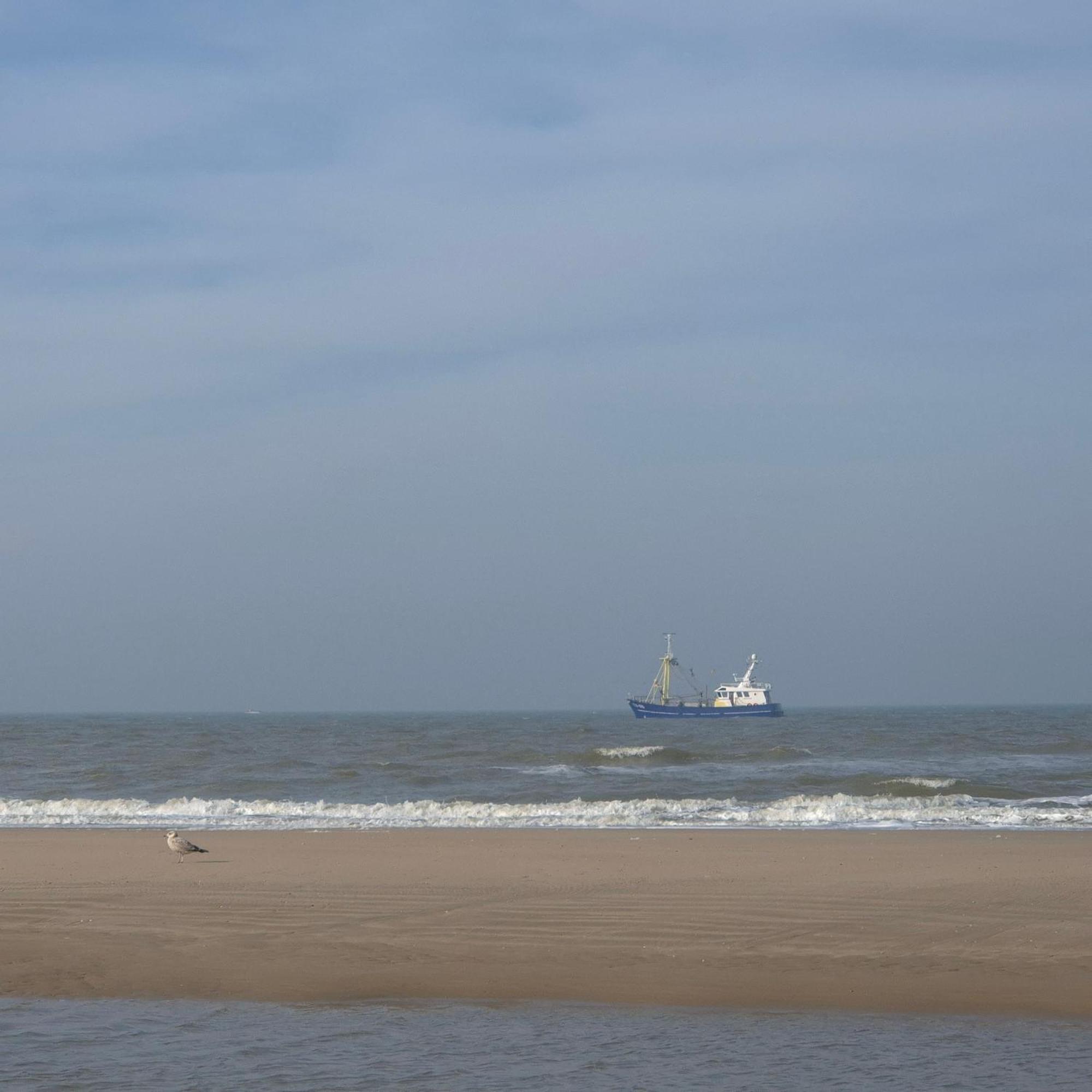 Tiny Villa De Haas Met Infraroodsauna Egmond aan Zee Dış mekan fotoğraf