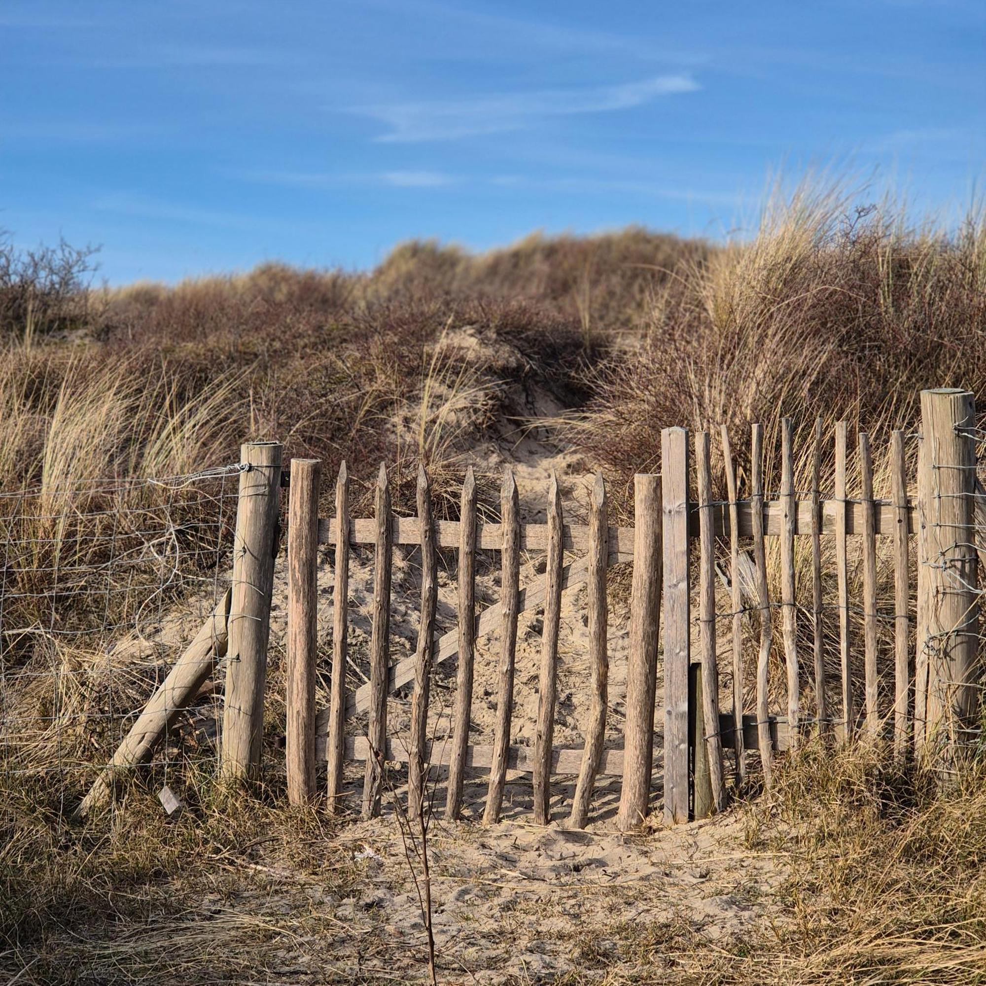 Tiny Villa De Haas Met Infraroodsauna Egmond aan Zee Dış mekan fotoğraf